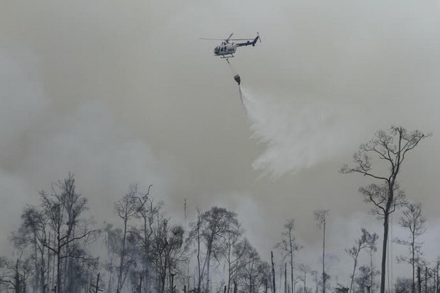 Puluhan Hektare Hutan Bukit Suligi Riau Terbakar