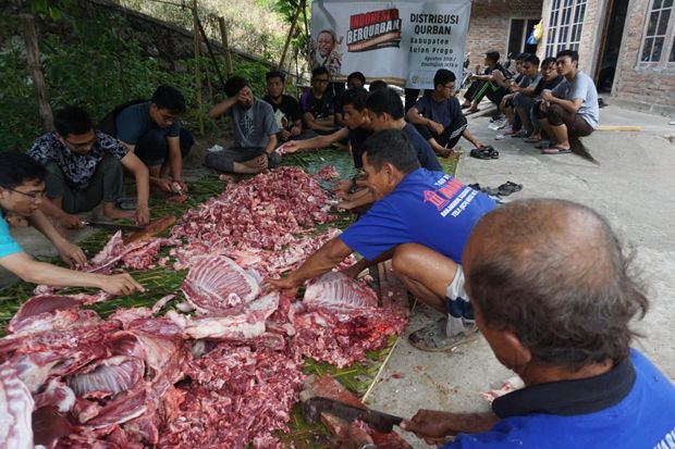 ACT DIY Distribusikan 500 Kambing Kurban untuk Warga di Pelosok DIY