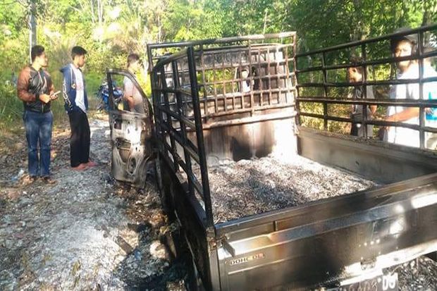 Pencuri Kerbau di Riau Tewas Diamuk Massa, Mobil Dibakar
