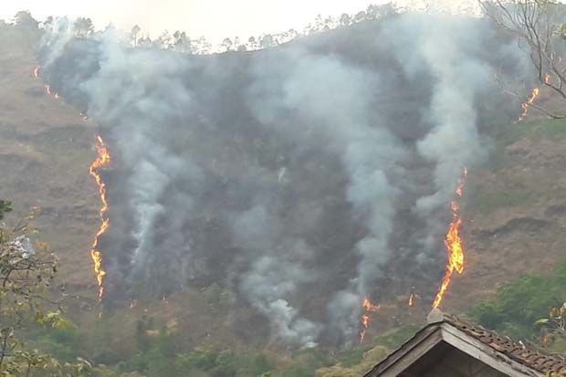 Puluhan Hektare Lahan di Lereng Gunung Kelir Ludes Terbakar