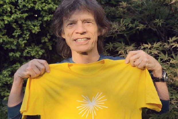 Mick Jagger Main Film The Burnt Orange Heresy