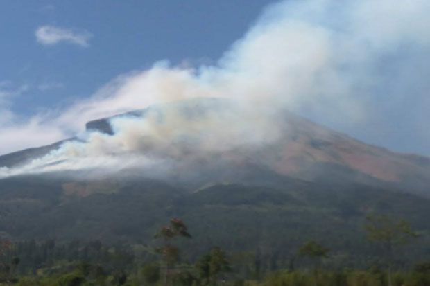 Hutan di Gunung Sindoro Kebakaran, Semua Jalur Pendakian Ditutup