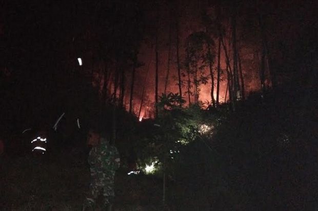 3 Hektare Lahan Terbakar di Toraja Utara