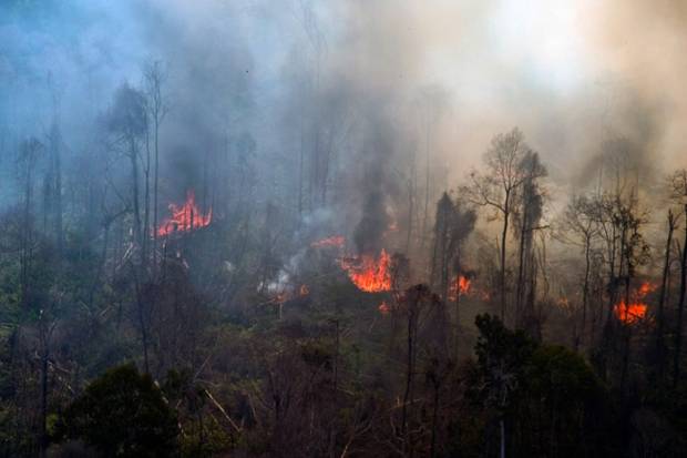 Terkendala Angin, Api di Gunung Sumbing Masih Belum Padam