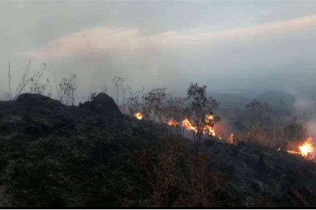Sekitar 10 Hektare Lahan di Taman Nasional Gunung Ciremai Terbakar