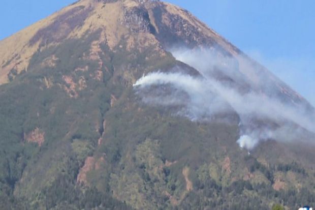 Polisi Ringkus Pelaku Pembakaran di Gunung Sindoro
