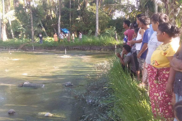 Warga Panyabungan Geger, Nenek Jamilah Ditemukan Tewas di Kolam Ikan