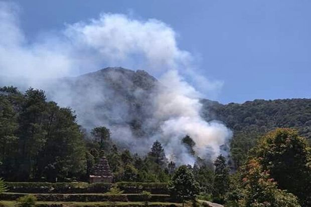 Hutan di Kawasan Candi 4 Terbakar, Gedong Songo Ditutup