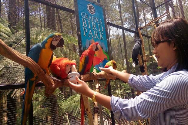 Grafika Bird Park, Wisata Mini Zoo di Kawasan Sejuk Bandung Barat