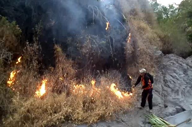 Puluhan Hektare Lahan Hutan di Gunung Ciremai Kembali Terbakar