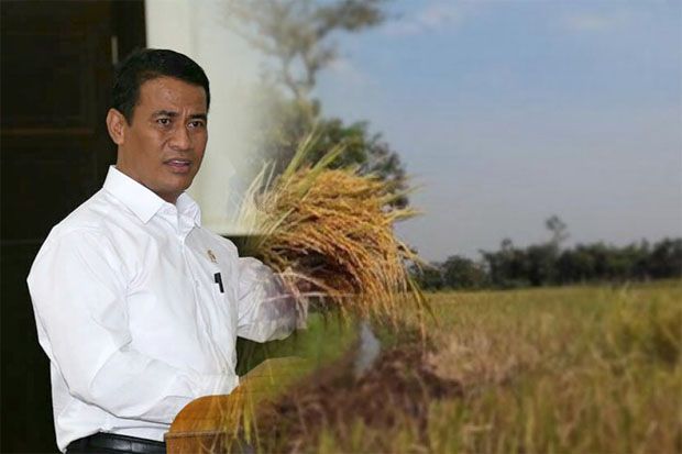 Pacu Produktivitas Pangan Lewat 1600 Hektar Lahan Pertanian di Riau