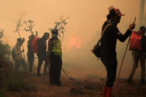 500 Hektare Hutan Gunung Ciremai Habis Terbakar, Kobaran Api Makin Tak Terkendali