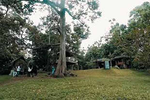 Rumah Hutan Cidampit, Wisata Alam di Kota Serang