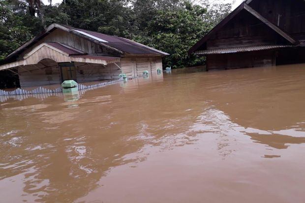 Banjir di Mandailing Natal Meluas, Empat Desa Terendam