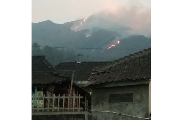 Kebakaran Hutan di Gunung Merbabu Semarang Semakin Meluas