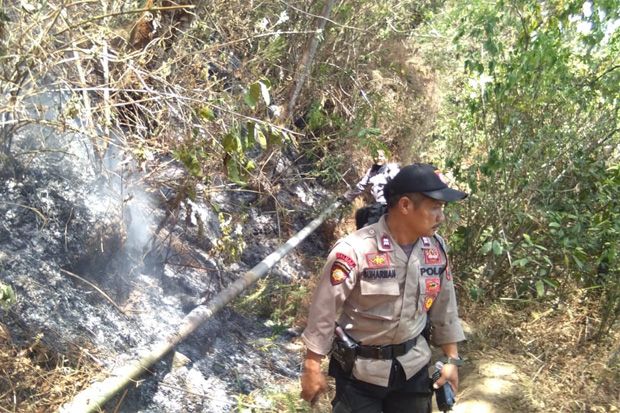 100 Hektare Lahan di Gunung Merbabu Ludes Terbakar