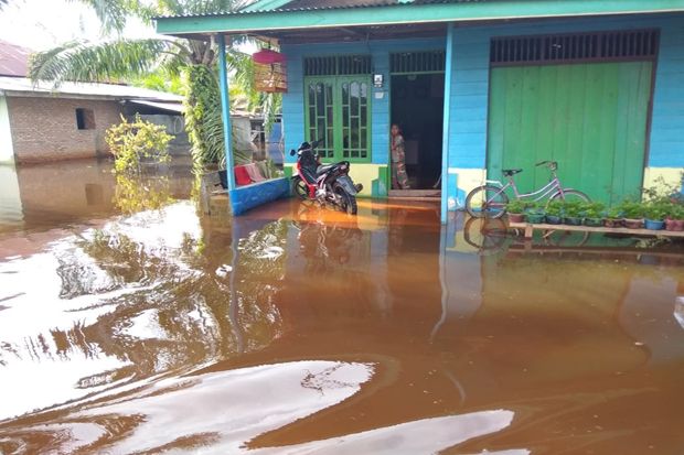 Ribuan Rumah Warga di Rohil Terendam Banjir, Warga Mengungsi