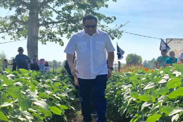 Rachmad Gobel Majukan Pertanian Gorontalo Lewat Inovasi Agrobisnis
