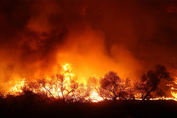 Kebakaran Hutan di California Tewaskan Sembilan Orang