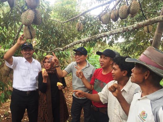 Kementan Pacu Daya Saing Durian Bawor Asal Banyumas