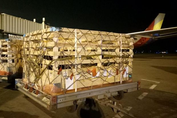 Inkopmar Ekspor 300 Kambing ke Abu Dhabi