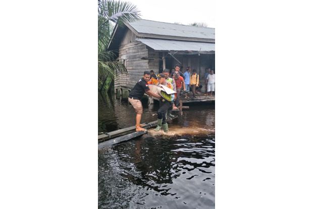 Diterjang Banjir, Bocah 7 Tahun Tewas Digigit Buaya