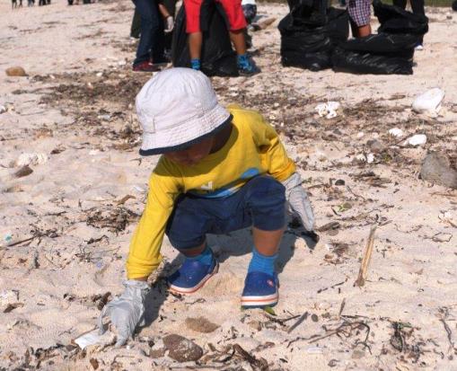 Amman Mineral Gelar Beach Clean Up di Kawasan Sekitar Tambang