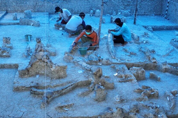 Grobogan Jadi Desa Wisata yang Kaya dengan Penemuan Fosil