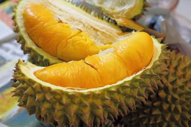 Ekspor Melejit, Neraca Perdagangan Durian Surplus 733 Ton