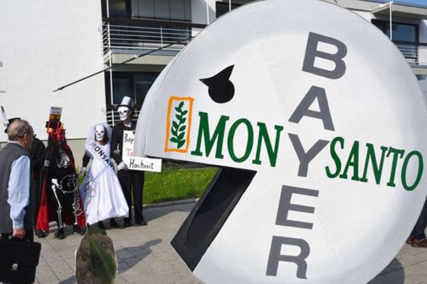 Bayer AG Berencana PHK 12.000 Pekerja dan Jual Beberapa Brand