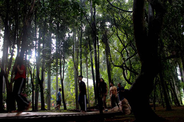 Mencari Model Ekonomi Atas Dampak dari Konversi Hutan