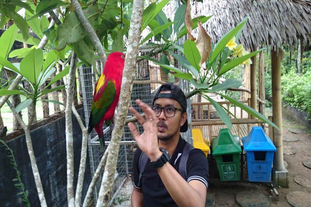 Belajar Mengenal Burung di Istana Penangkaran Burung Wukirsari