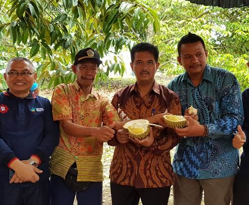 Pacu Daya Saing, Kementan-Pemprov Sumbar Gelar Festival Durian