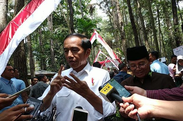 Harga Sawit Turun, Jokowi Sarankan Tanam Jengkol dan Pete