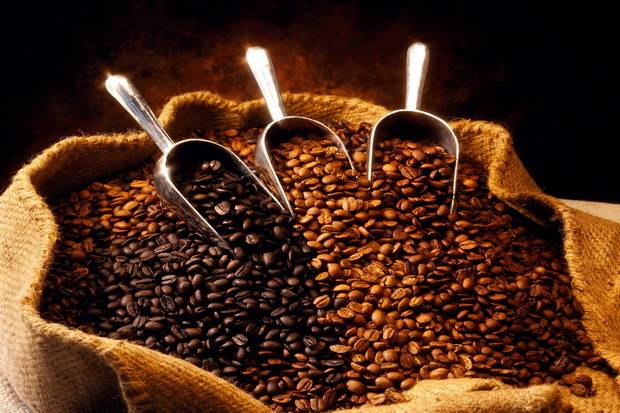 Pengembangan Kopi Toraja, Perusahaan Jepang Key Coffee Siap Investasi
