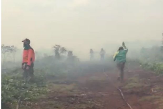 Kebakaran di Rohil Belum Tertangani, 40 Hektare Lahan Hangus