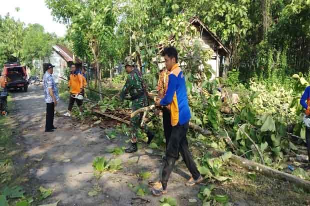 Angin Ribut, Pohon Tumbang Timpa Rumah Warga di Blora