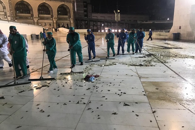 Fenomena Aneh, Kelompok Serangga Menginvasi Masjidilharam Makkah