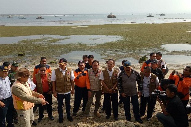 Kepala BNPB: Hutan Pantai Dapat Kurangi Risiko Bahaya Tsunami