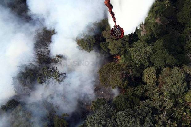 Kebakaran Lahan dan Hutan di Rohil Capai 82 Hektare