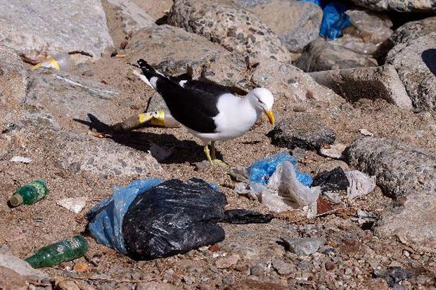 Perusahaan Global Bersatu Atasi Masalah Sampah Plastik