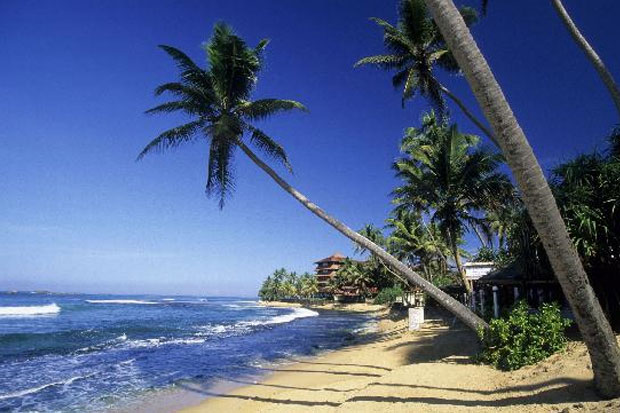 Wisata Berlayar di Sri Lanka