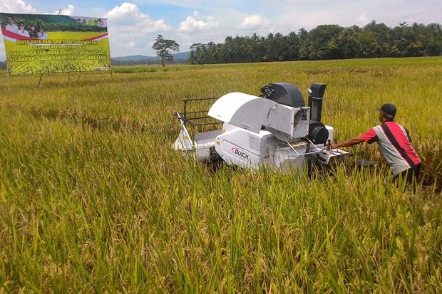 Pertanian Butuh Inovasi Teknologi demi Kedaulatan Tani