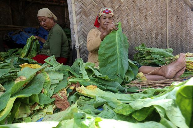 BPJS Ketenagakerjaan Jawa Timur Mulai Akuisisi UMKM