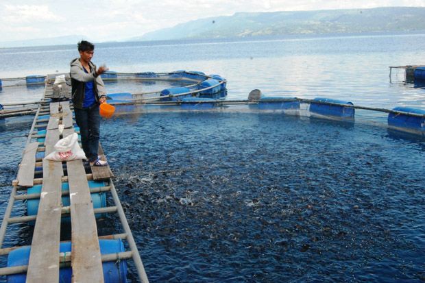 RI Minta Bea Masuk Ikan ke Jepang Dibebaskan