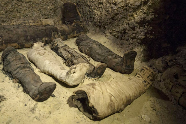 Mesir Temukan Lebih dari 40 Mumi di 3 Makam Kuno