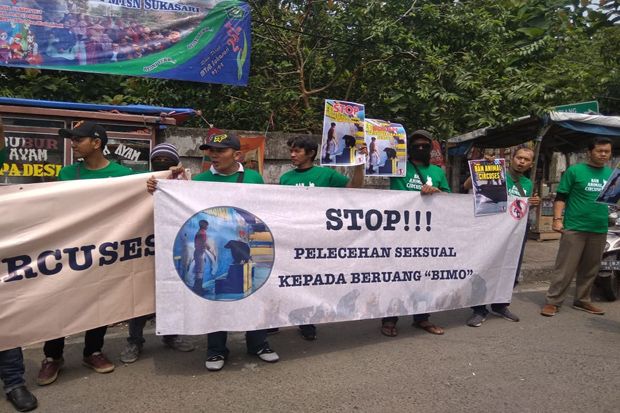 Aktivis Hewan Protes Pelecehan Seksual Terhadap Beruang Madu