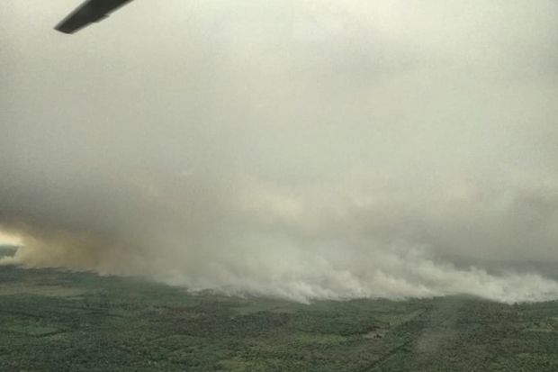 Kebakaran Hutan Meluas, Tiga Kabupaten Riau Diselimuti Asap Pekat