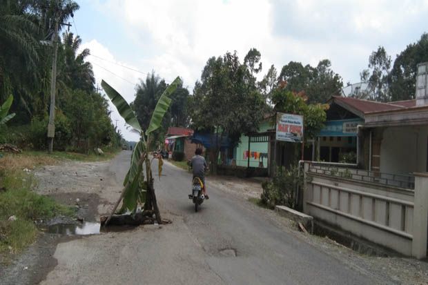 Jalan Tak Kunjung Diperbaiki, Warga Simalungun Tanam Pisang