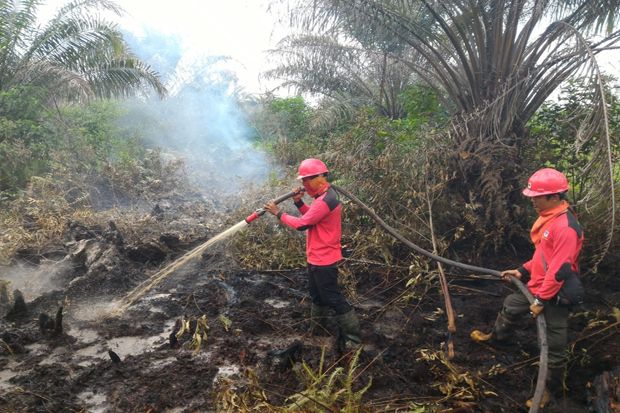 841 Hektare Hutan dan Lahan Riau Terbakar